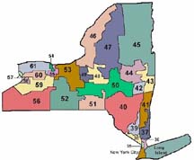 Find your Senator: zip code lookup, NY district maps, and contact info